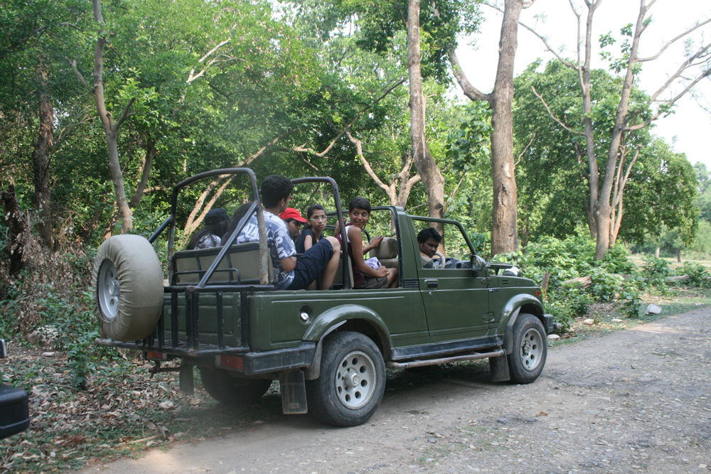 picture28